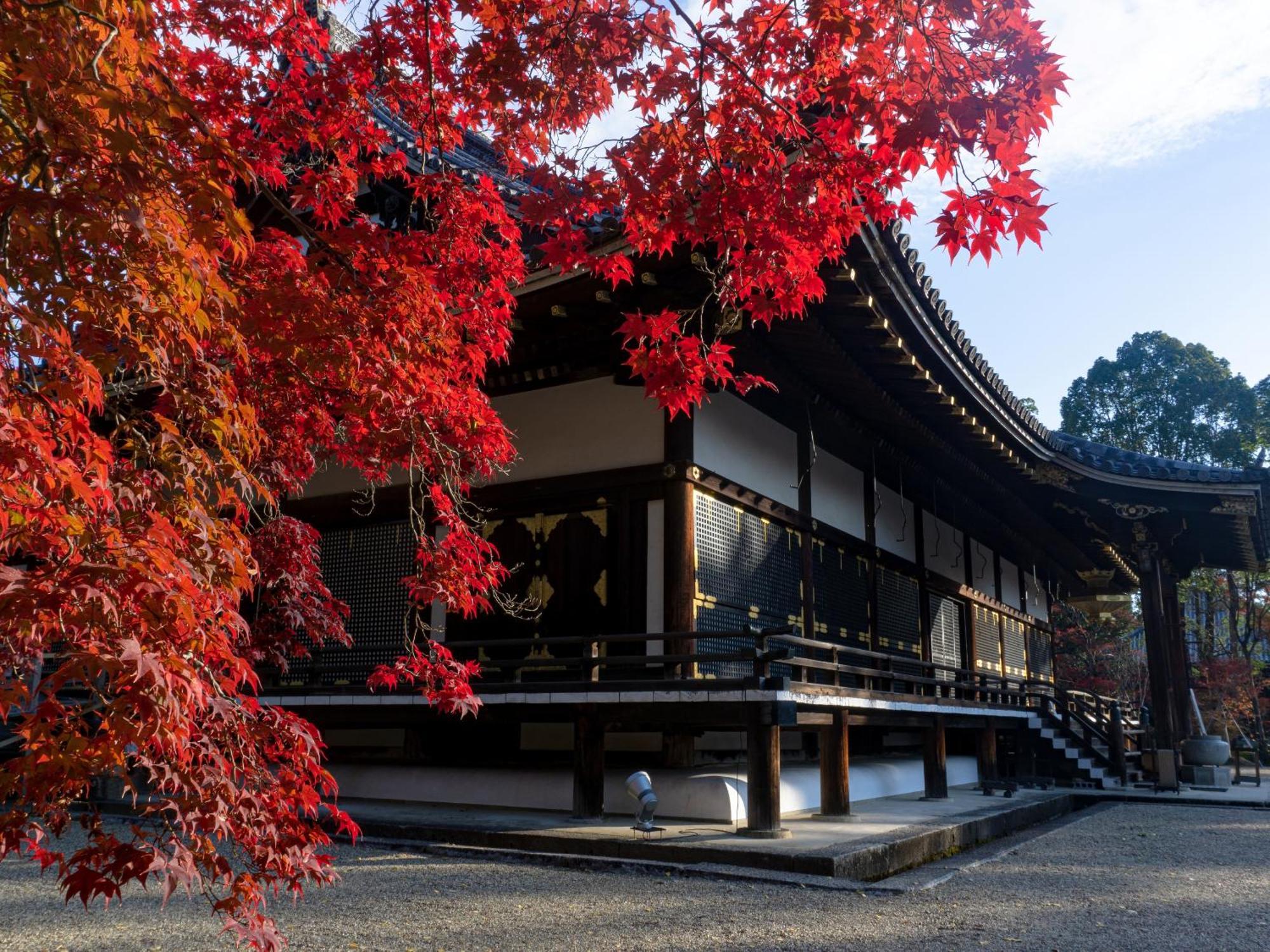The Blossom Kyōto Exterior foto
